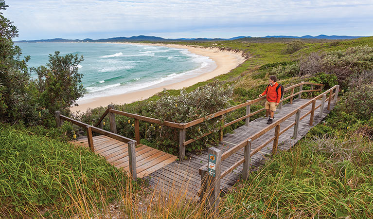 Wilsons Headland walk, Yuraygir National Park. Photo: Rob Cleary