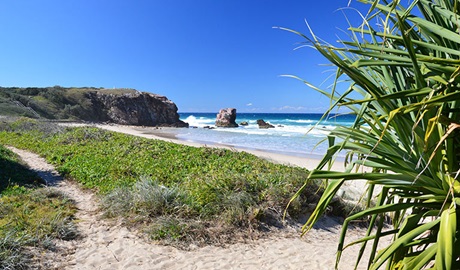 Bushcare along Coffs Coast, Coffs Coast Regional Park. Photo: OEH