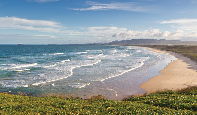 Coffs Coast Regional Park. Photo: Rob Cleary/Seen Australia