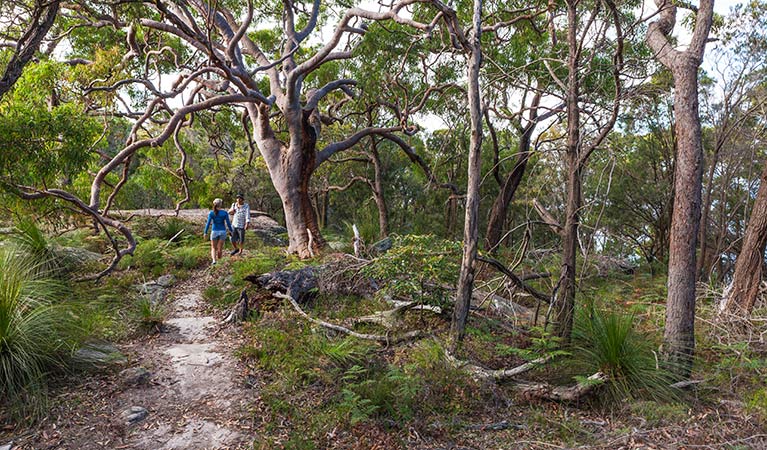 Volunteers participating in Discovery tour, Ku-ring-gai Chase National Park. Photo: D Finnegan
