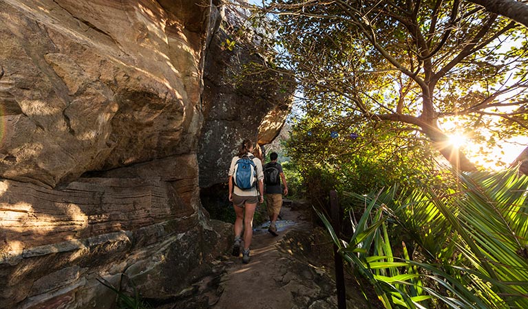  Volunteers participating in Discovery tour, Ku-ring-gai Chase National Park. Photo: D Finnegan