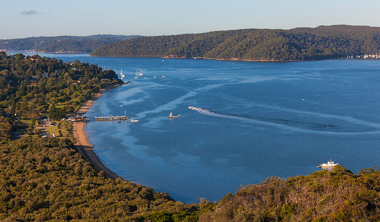 Barrenjoey Lighthouse track, Ku-ring-gai Chase National Park. Photo: D Finnegan