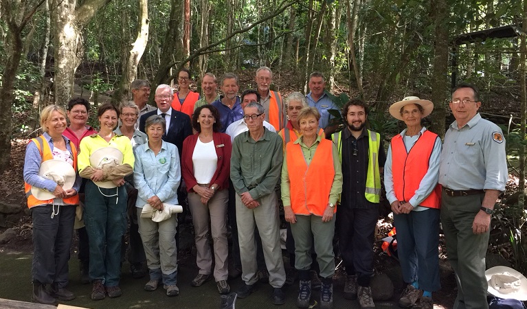 Volunteers canopy gap weeding in Minnamurra Rainforest, Budderoo National Park. Photo: Peter Kennedy