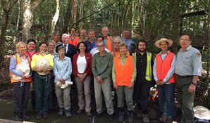 Friends of Minnamurra Rainforest