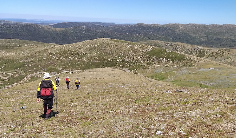 Volunteers return at the end of a day of outdoor work in Kosciuszko National Park. Photo: Rebecca Mooy &copy; Rebecca Mooy/NPWS