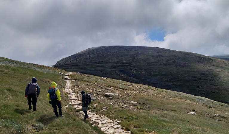 Volunteers working along a walking track on the Main Range on the way to Lake Albina, Kosciuszko National Park. Photo: Rebecca Mooy &copy; Rebecca Mooy/NPWS