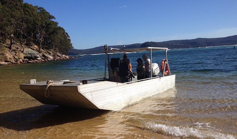 Volunteers arrive at Lobster Beach, Bouddi National Park. Photo: Deb Holloman/NPWS