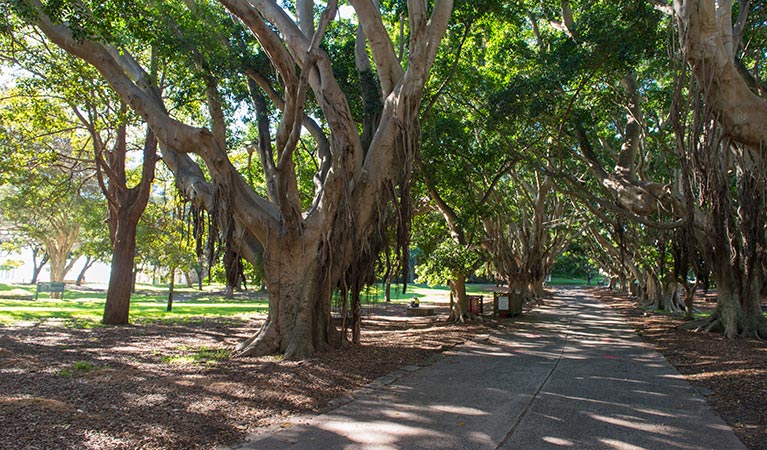 Nielsen Park, Sydney Harbour National Park. Photo: John Spencer