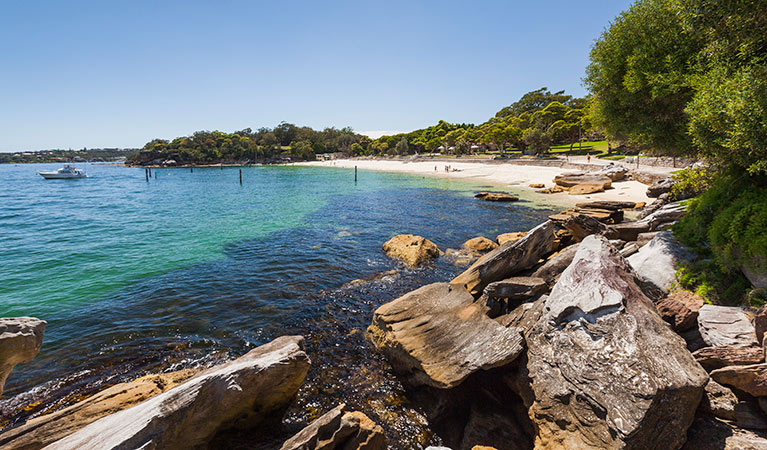 Nielsen Park, Sydney Harbour National Park. Photo: David Finnegan