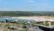 Volunteers doing bush regeneration on a cliff at Marley Beach, with the view of the coast behind them. Photo: David Robson &copy; DPIE