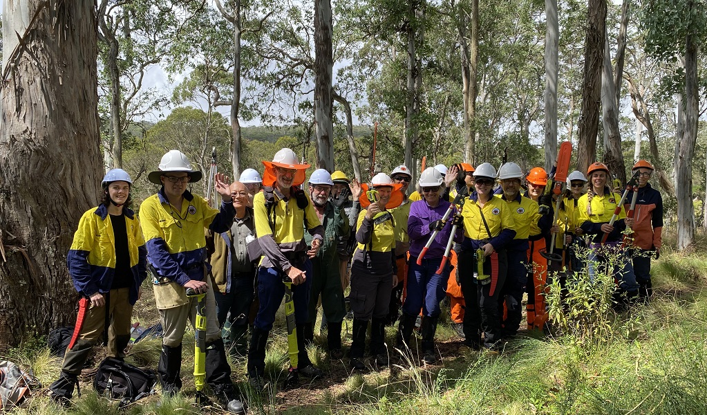 A team of Scotch Broom control volunteers, Barrington Tops National Park. Photo: Andrew Scott &copy; the photographer