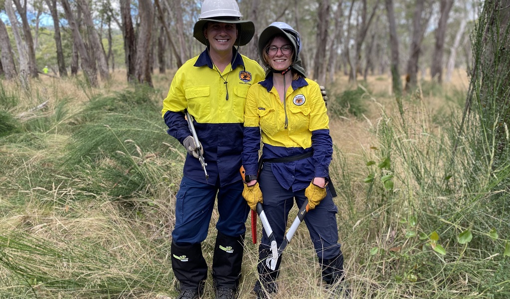 Two volunteers helping to remove Scotch Broom, Barrington Tops National Park. Photo: Andrew Scott &copy; the photographer