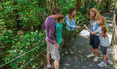 Sea Acres Rainforest Centre Discovery guides, Sea Acres National Park. Photo: David Finnegan