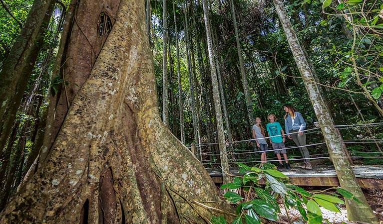 Sea Acres Rainforest Centre Discovery guides, Sea Acres National Park. Photo: David Finnegan