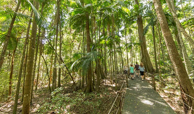 Sea Acres Rainforest Centre Discovery guides, Sea Acres National Park. Photo: David Finnegan