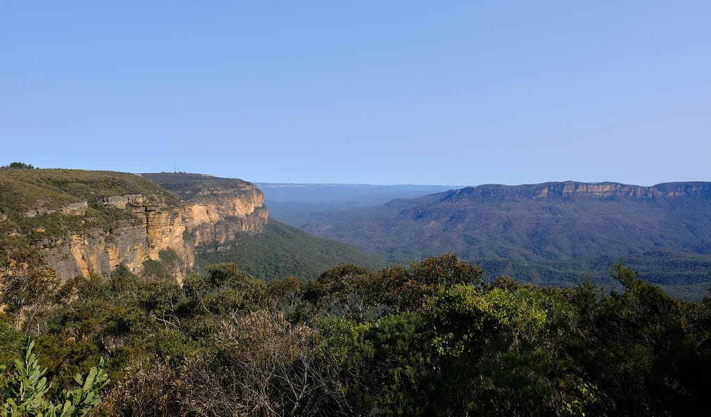 View from Jamison lookout at Wentworth Falls picnic area, Blue Mountains National Park. Photo: Elinor Sheargold &copy; DPE
