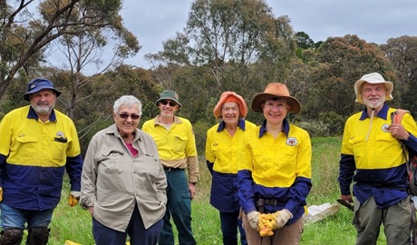 Valley of the Waters volunteers. Photo: Monica Nugent &copy; DPE