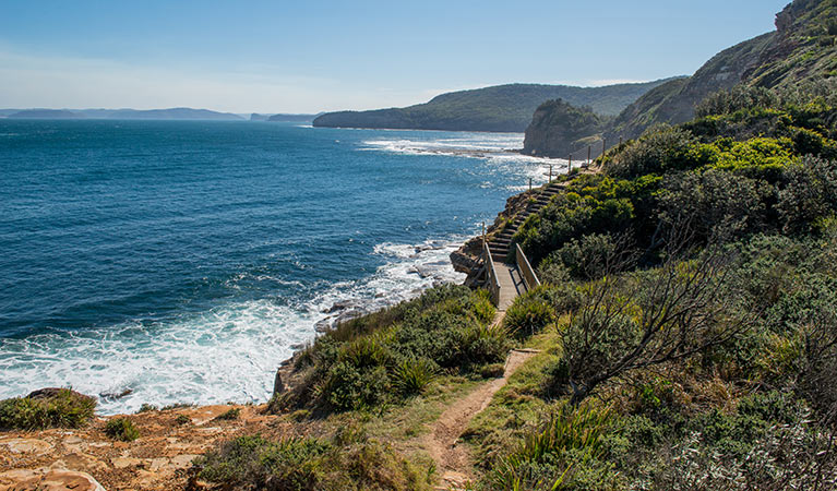 Mount Bouddi walking track, Bouddi National Park. Photo: John Spencer