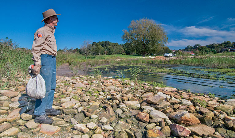 Volunteer participating in bush regeneration, Wolli Regional Park. Photo: John Spencer