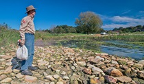 Volunteer participating in bush regeneration, Wolli Regional Park. Photo: John Spencer