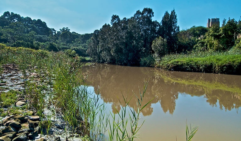 Wolli Creek, Wolli Creek Regional Park. Photo: John Spencer