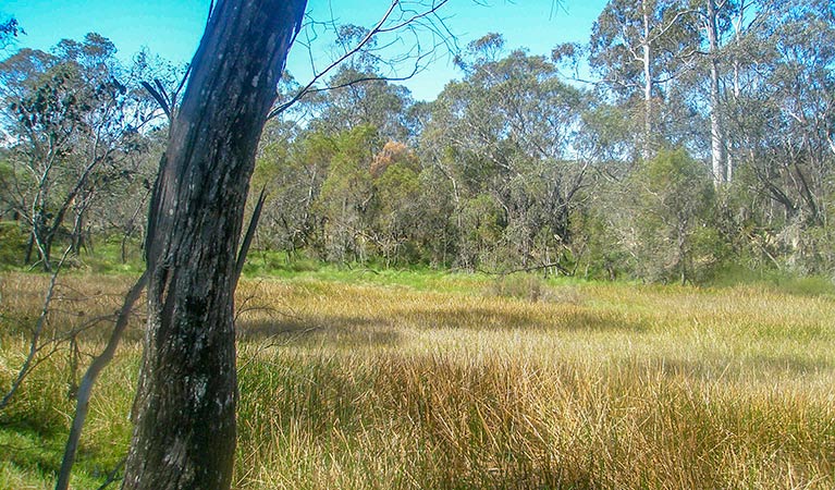 Woomargama National Park. Photo: OEH