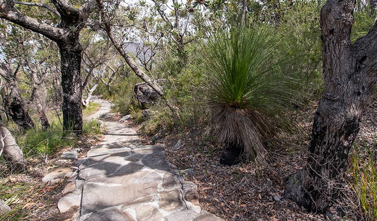 Wondabyne to Patonga Walk, Brisbane Water National Park. Photo: John Spencer