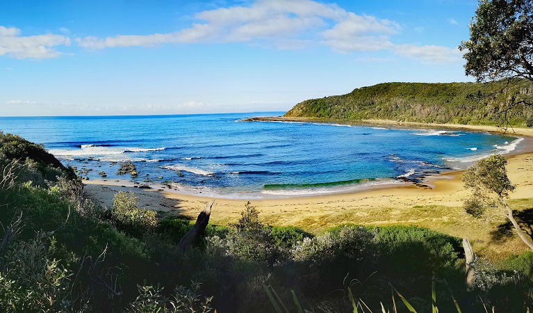 Bateau Bay, Wyrrabalong National Park. Photo: Nigel Cooper &copy; Nigel Cooper