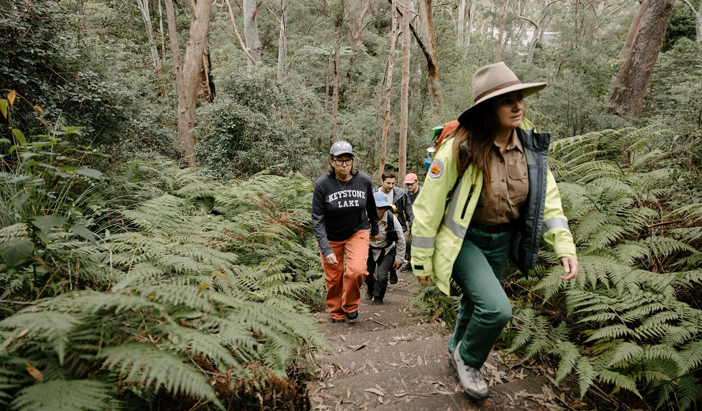 Corporate volunteers on a guided tour, led by an NPWS Discovery ranger, Lane Cove National Park. Credit: Zain Kruyer/DCCEEW &copy; the photographer