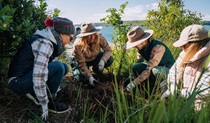 Volunteers and NPWS Discovery rangers work together on weeding and clean up at Middle Head, Sydney Harbour National Park. Credit: Remy Brand/DCCEEW &copy; the photographer