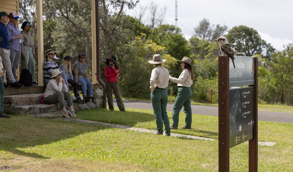 NPWS staff and a local kookaburra welcome corporate volunteers to Middle Head, Sydney Harbour National Park. Photo: Peter Taseski/DCCEEW &copy; DCCEEW