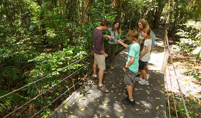 Volunteer guides family through rainforest, Sea Acres National Park. Photo: David Finnegan