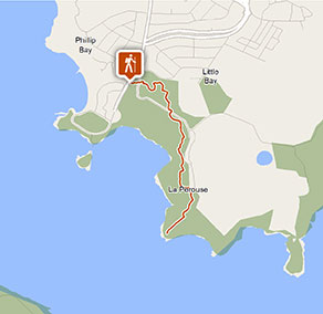 Henry Head walking track