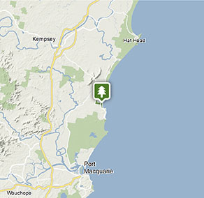 Surf and stay at Crescent Head