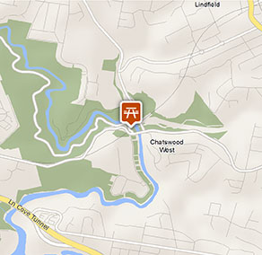 Corporate volunteer program: Lane Cove