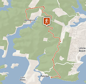 Wondabyne to Patonga walking track