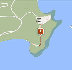 Burrawang walking track