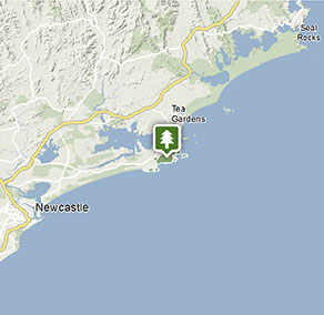 Stage 5 Geography Coastal Catchment Management Tomaree National Park