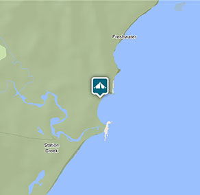 Pebbly Beach campground - Yuraygir National Park