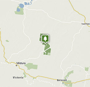 Guided 4WD outback adventures in Corner Country
