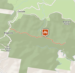 Cascade mountain bike trail