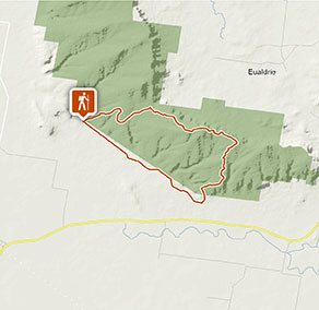 Weddin Gap to Black Spring loop trail