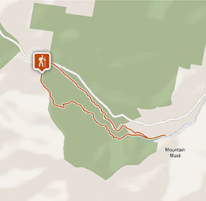 Basin loop track