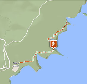 Pebbly Beach to Snake Bay walking track
