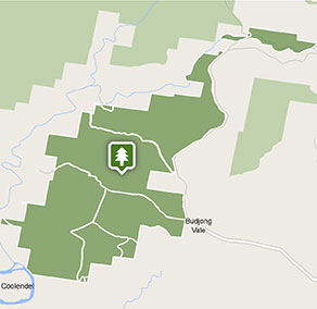 Shoalhaven multi-day horse rides