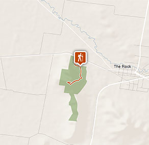 Yerong walking track
