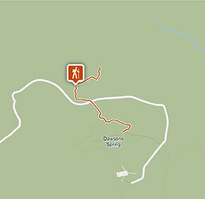 Mount Kaputar Summit walk