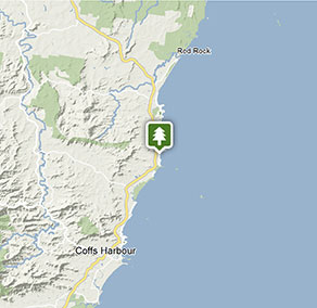 Coffs Harbour bushcare and landcare