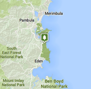 Guided Aboriginal cultural tour in Eden