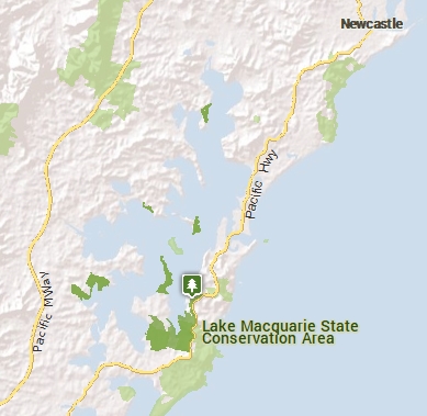Awaba Bay bush regeneration